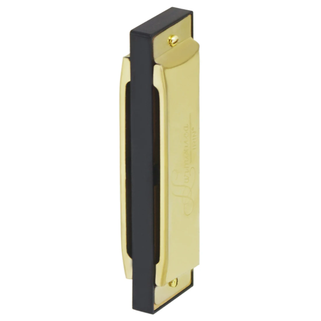 IRIN Harmonica 10 Hole 20 Tone - Musical Instrument Names recension och pris